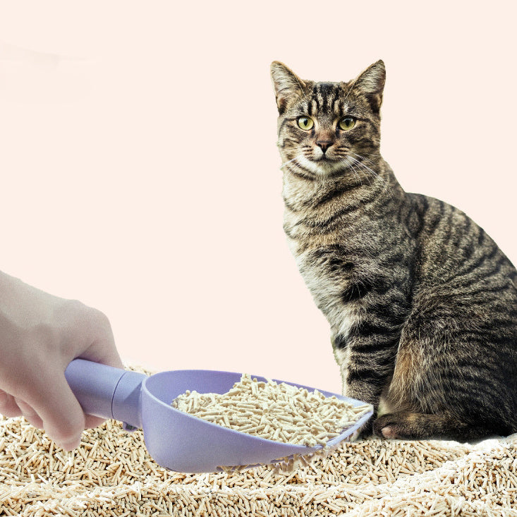 Cat Litter Scoop Plastic Cats Poop Scoop