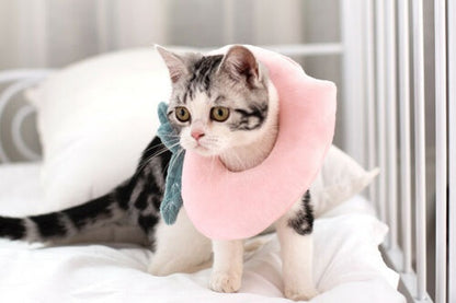 Adjustable Pet Neck Cone Collar