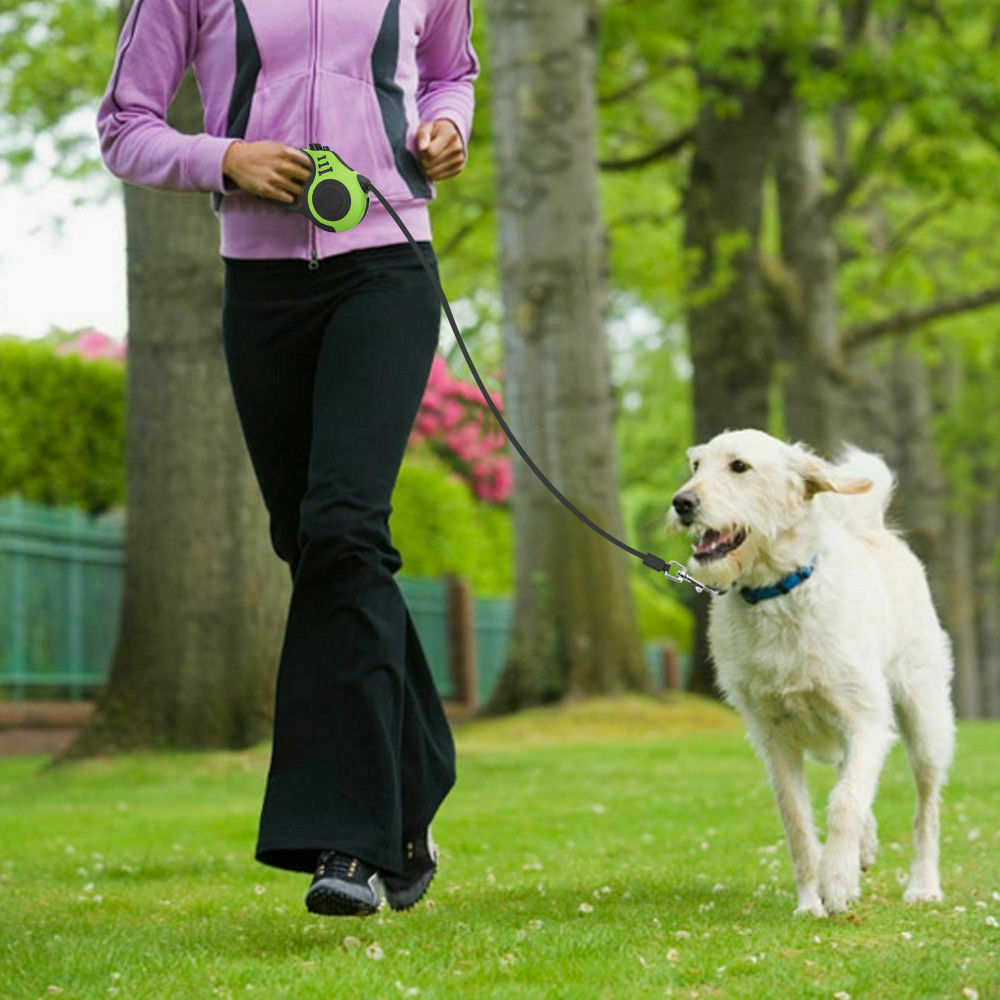 Pet Collar Automatic Walking Lead