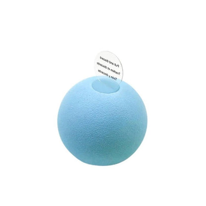 Pet Squeak Toys Ball