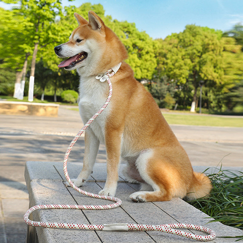 Pulling Rope Puppy Strap Traction Rope