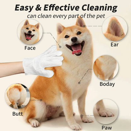 Pet Disposable Gloves