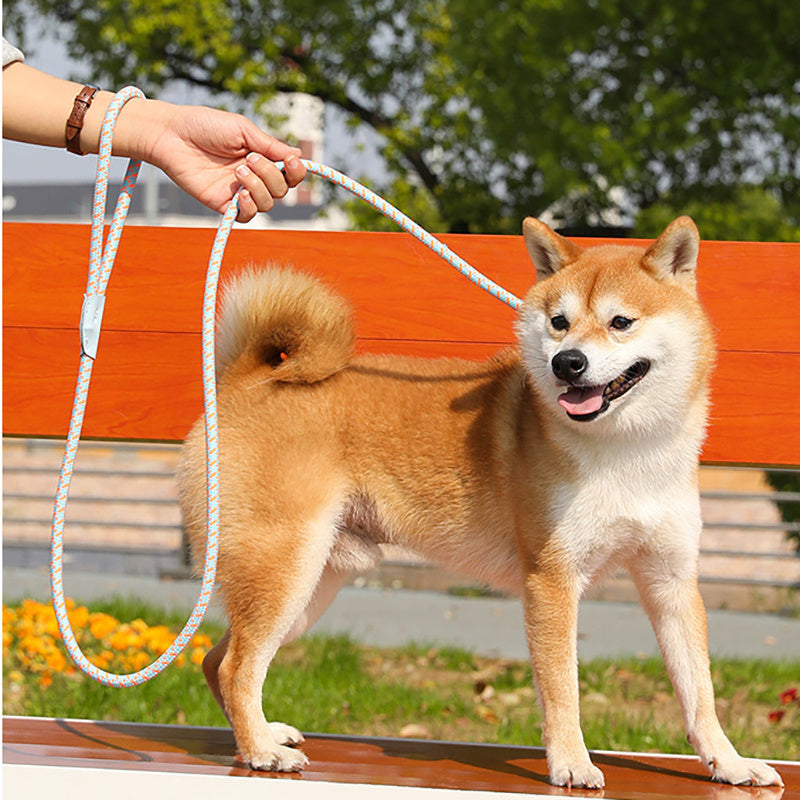 Pulling Rope Puppy Strap Traction Rope