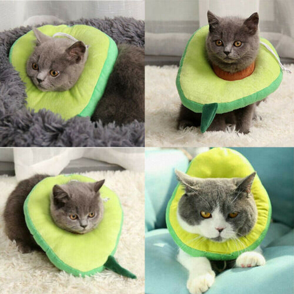 Adjustable Pet Neck Cone Collar