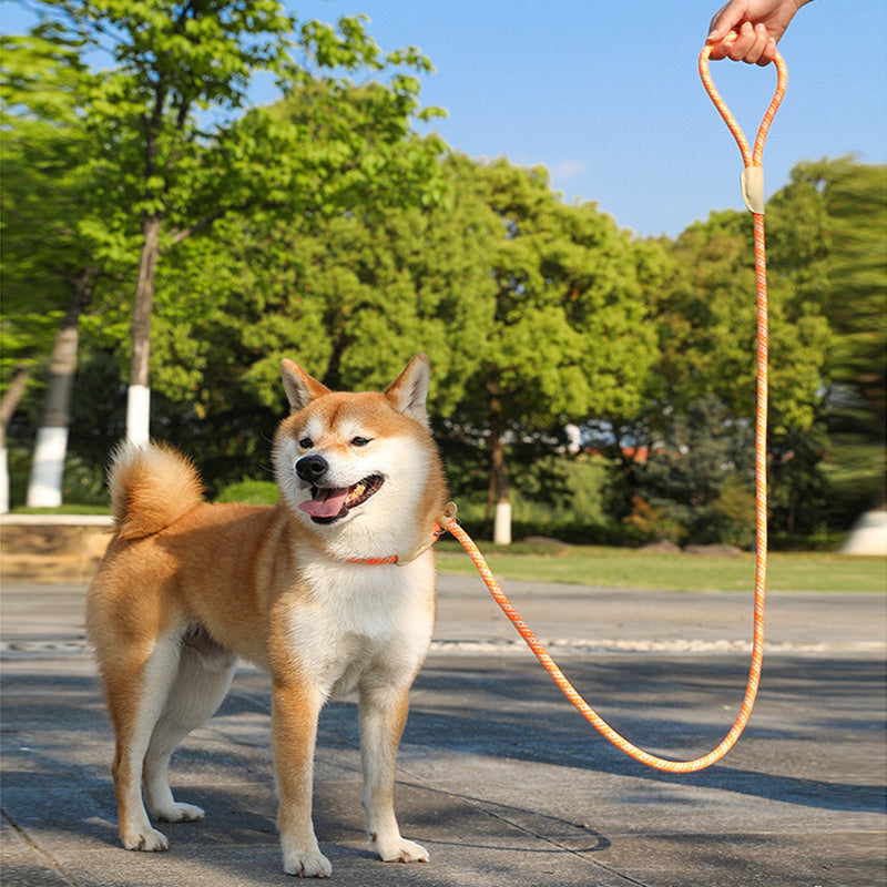 Pulling Rope Puppy Strap Traction Rope