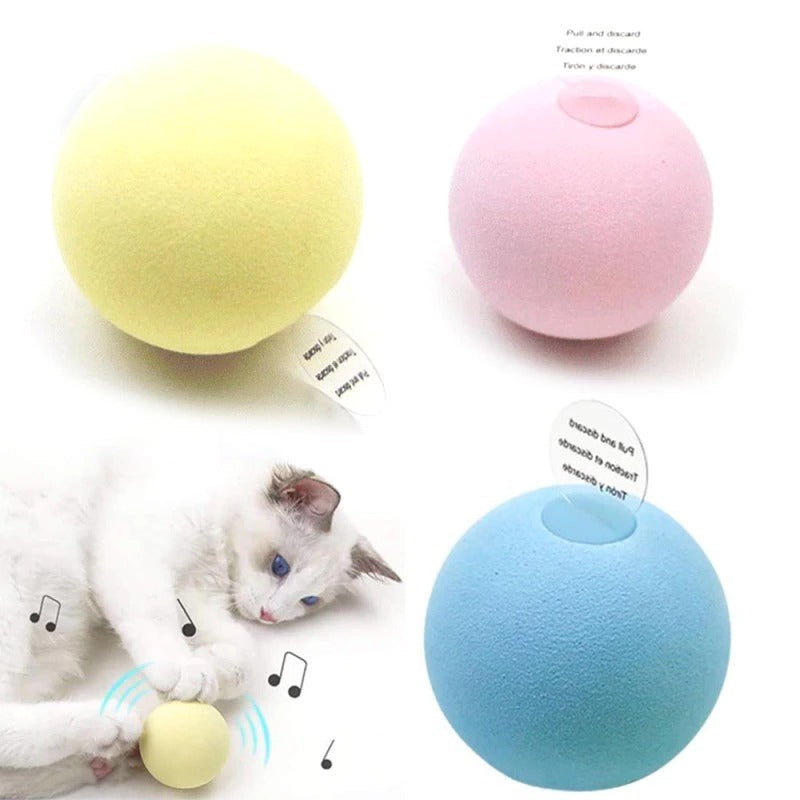 Pet Squeak Toys Ball