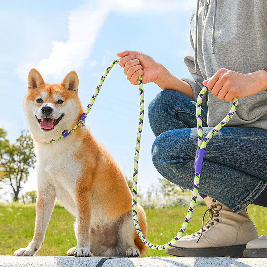 Pulling Rope Puppy Strap Traction Rope